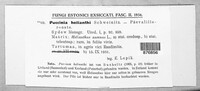 Image Associated With the Occurrence
